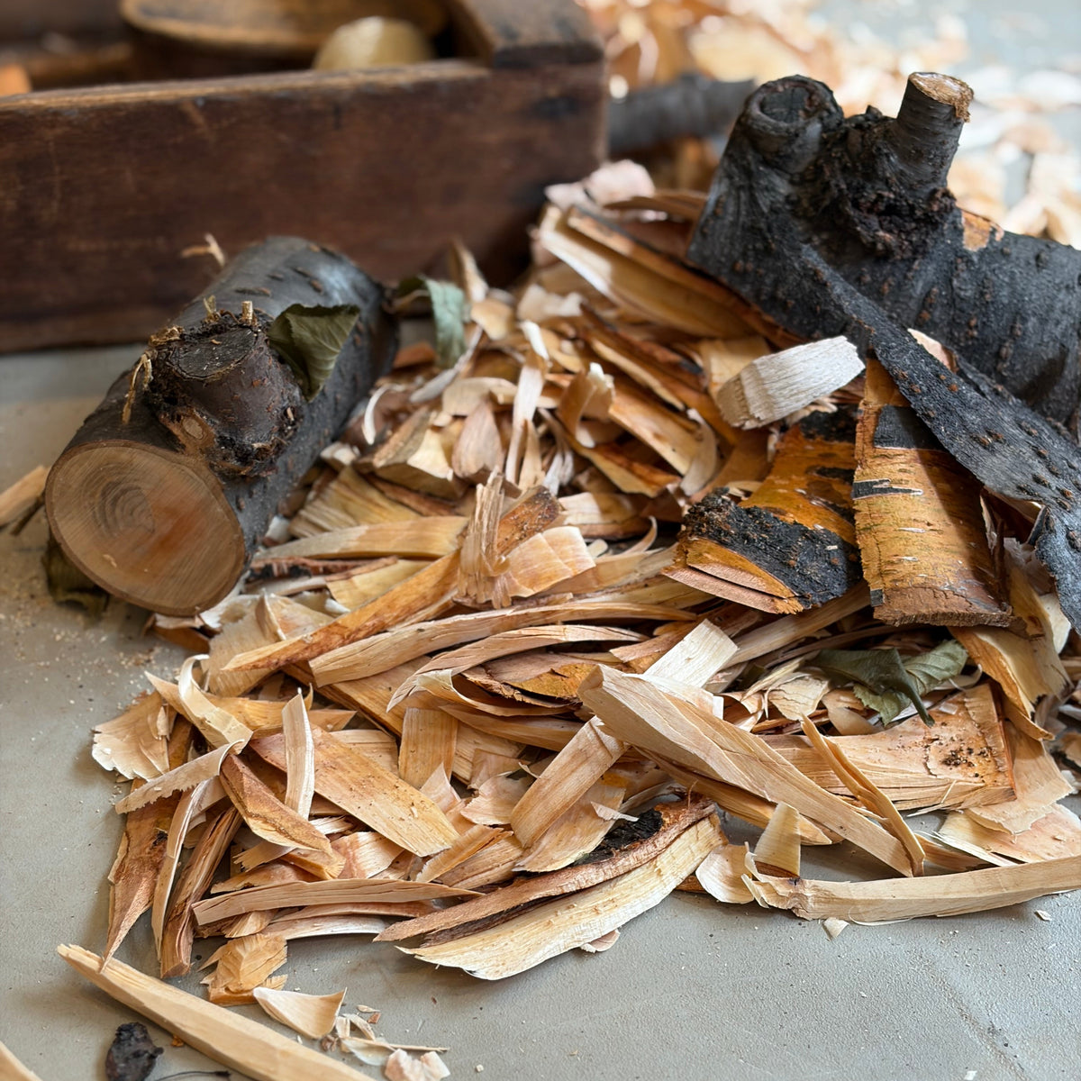 Wood Spoon Carving Workshop